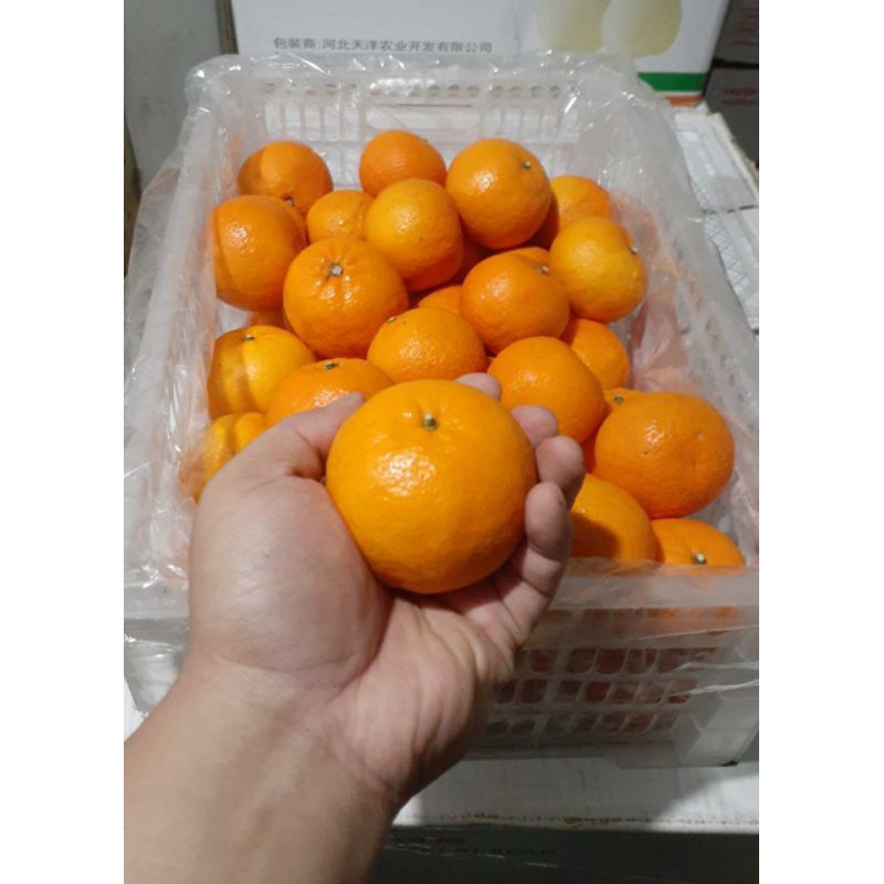 Indukbuah Buah Jeruk Wokam Wogan Manis 1 Keranjang krat 7kg