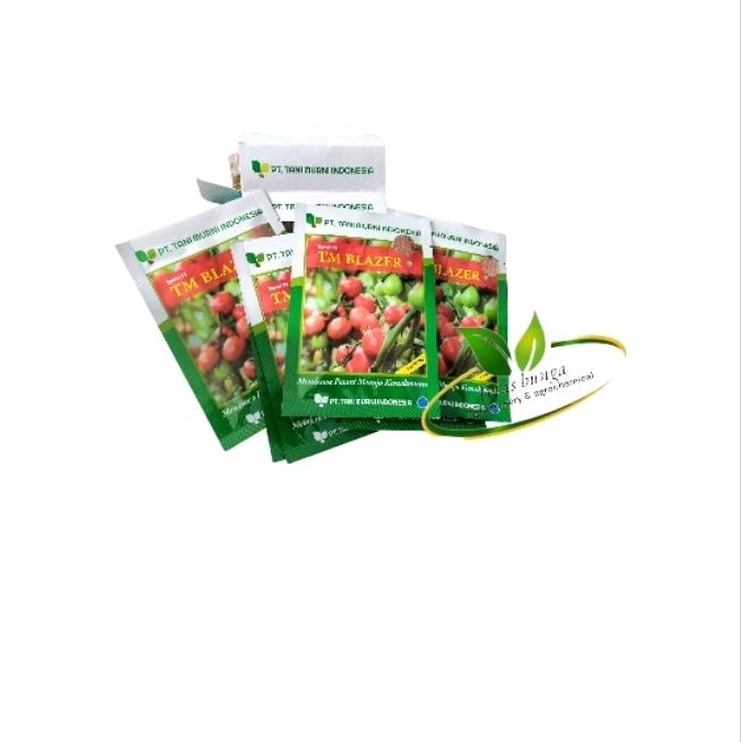 Benih tomat tm blazer 10gr