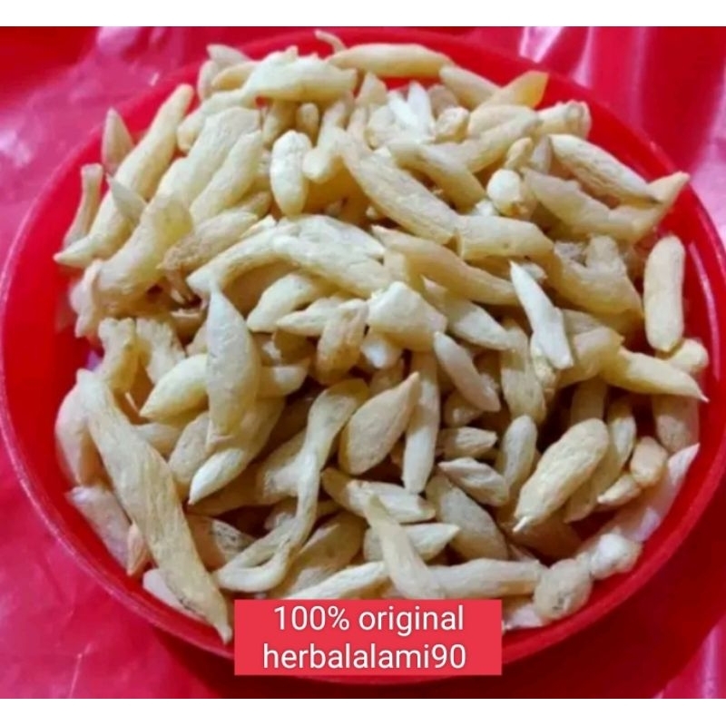 

0Mak Tung / Mai Dong / Mai Men Dong / Ma Tung 麦冬 Tuber Ophiopogonis Japonici 100Gram