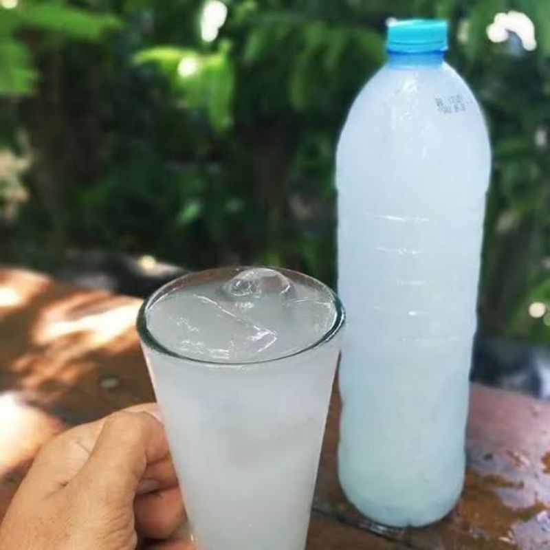 

(terlaris) Minuman Legen Tuban Air Minum Siwalan Asli