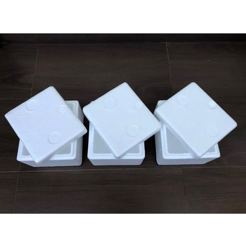 

Styrofoam Packing/ Box Frozen Berries ( HANYA UNTUK PEMBELIAN FROZEN BERRIES)