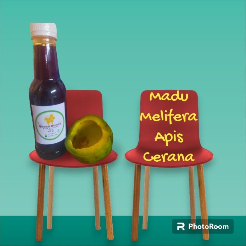 

Madu Melifera Apis Cerana