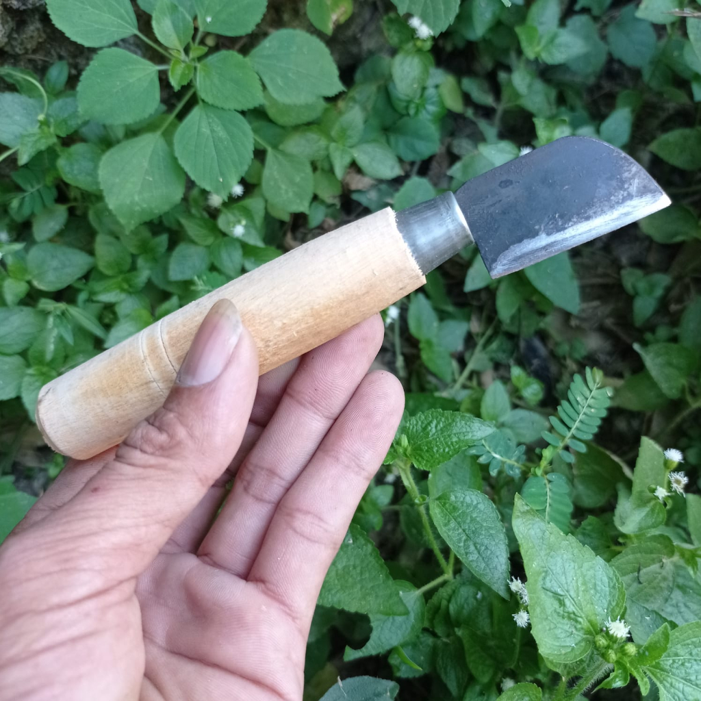 VERSI DATAR Pisau Stek Okulasi Tanaman Bonsai Super Tajam - Pisau Sambung Tanaman - Pisau Baja Cangk
