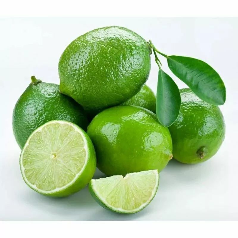2 biji benih/bibit Jeruk Nipis