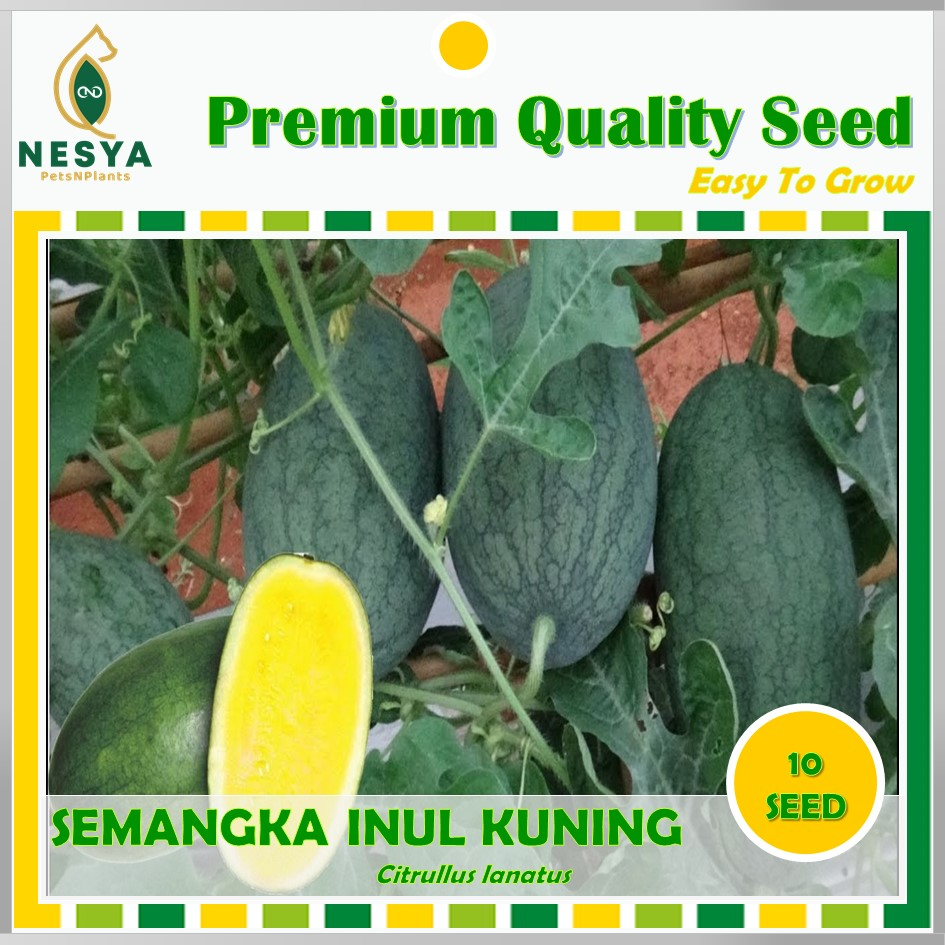 Benih Semangka INUL Kuning Benih Biji Buah Semangka Inul Kuning 10 biji Unggul Berkualitas