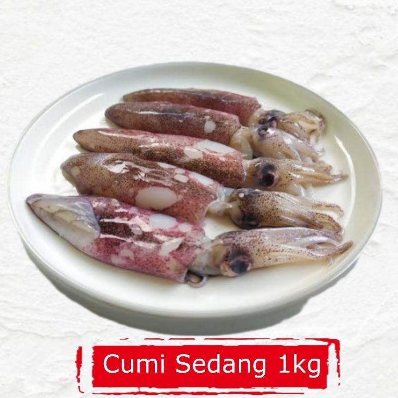 

Cumi Loligo Sedang 1KG