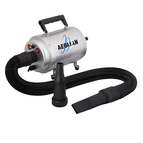 Aeolus TD-901GT AEOLIAN Super Single Motor Dryer with 52mm Hose