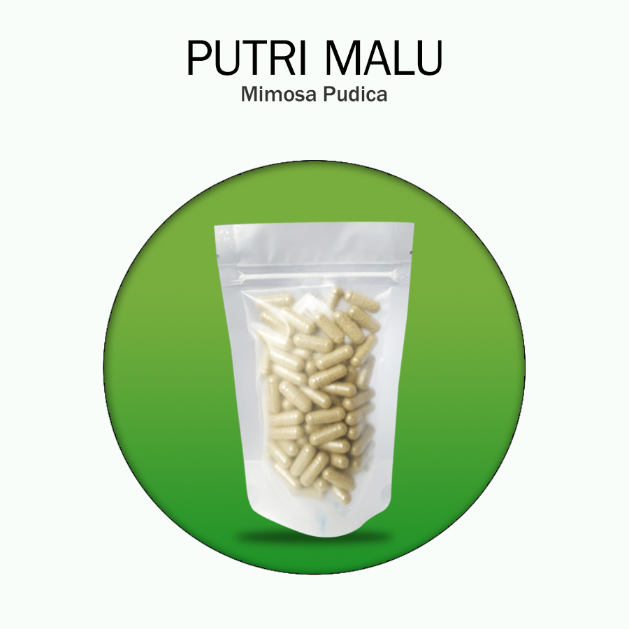 PUTRI MALU 100 kapsul Herbal KEJANTANAN Pria