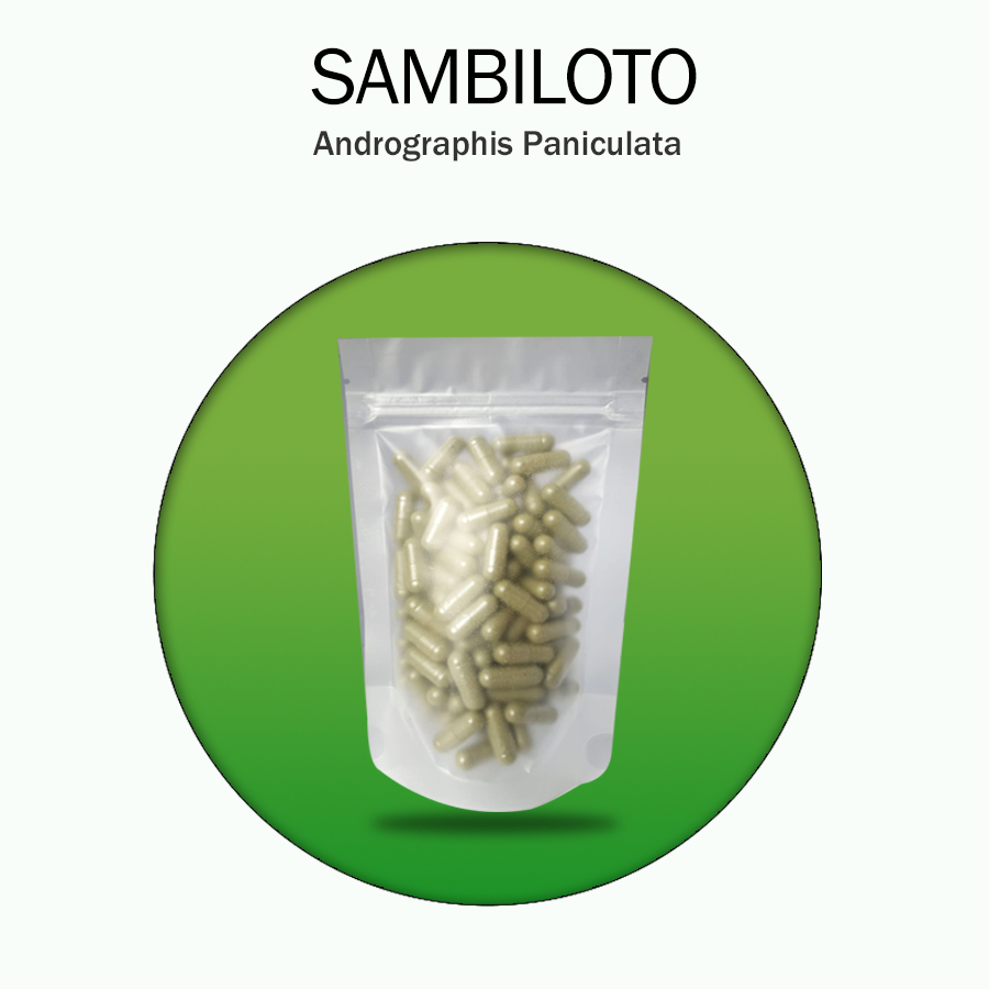 SAMBILOTO 100 Kapsul Herbal