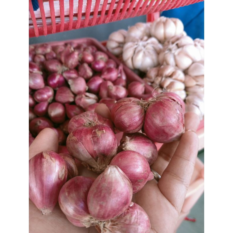 

Bawang merah 1/2kg