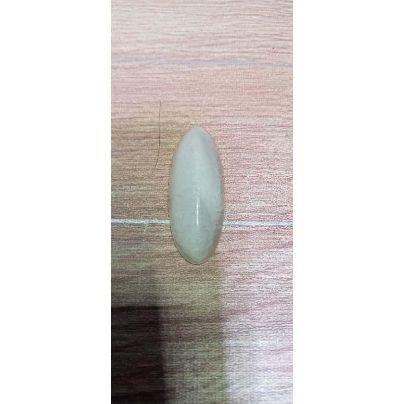 pandan kapas