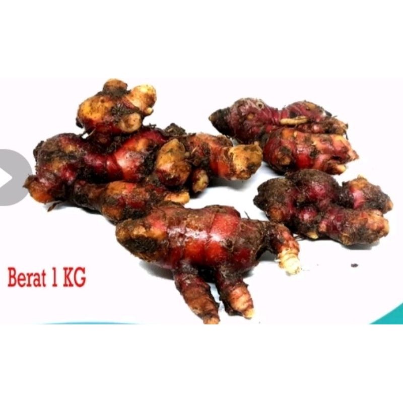 

jahe merah netto 1 kg