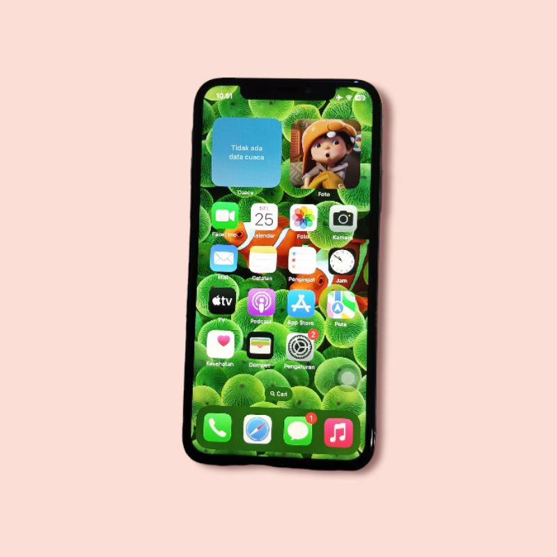 IPHONE X BYPASS Cell