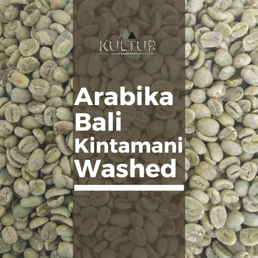 

GREEN BEAN ARABIKA BALI KINTAMANI WASHED BIJI KOPI MENTAH NETTO 500 GR