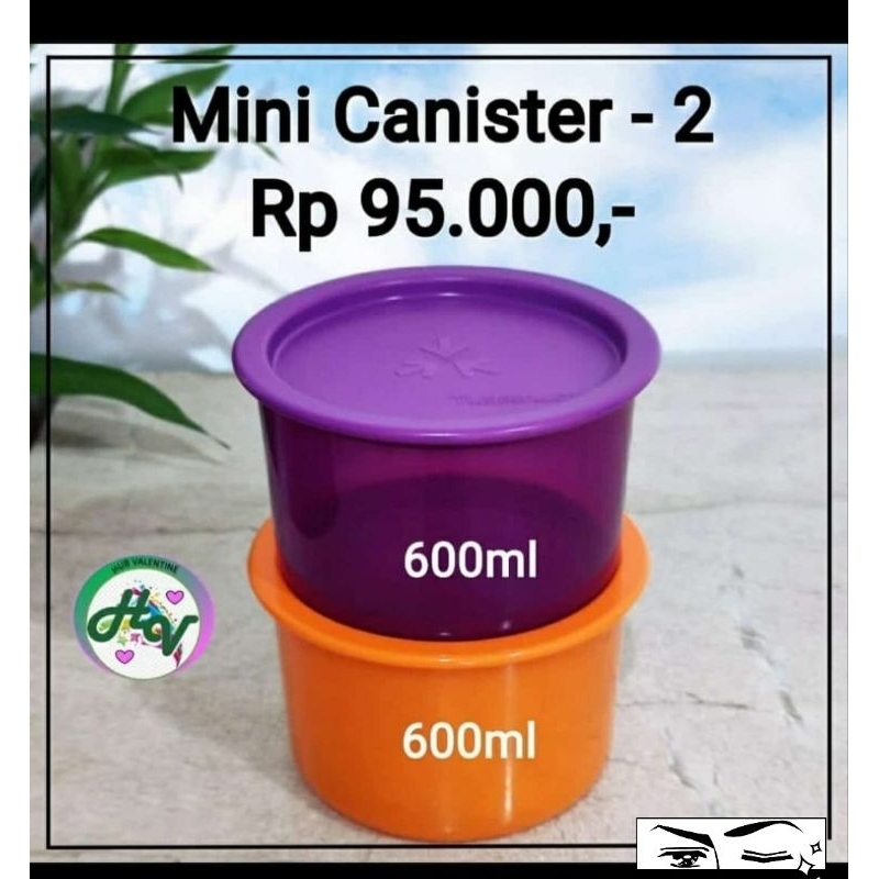 toples imut n minimalis