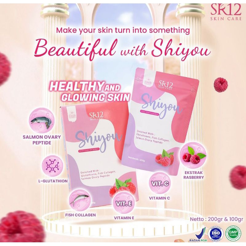 

Shiyou SR12
