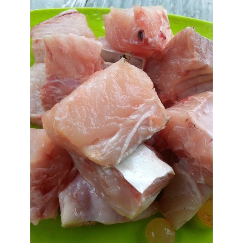 

Ikan Baung Laut 500 gr