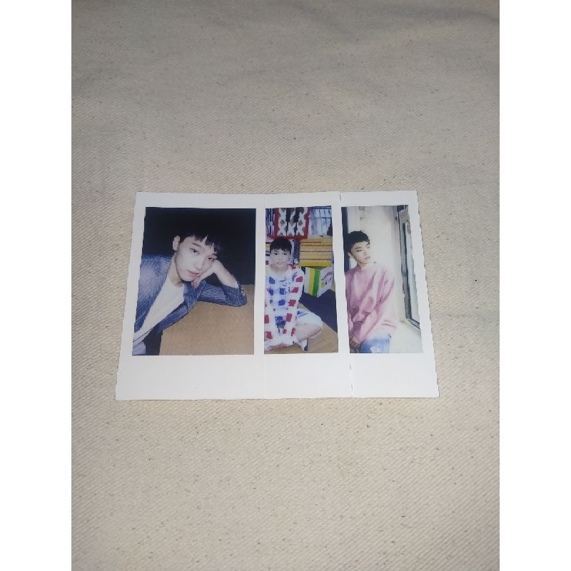 [SEVENTEEN] Dino polaroid concert set