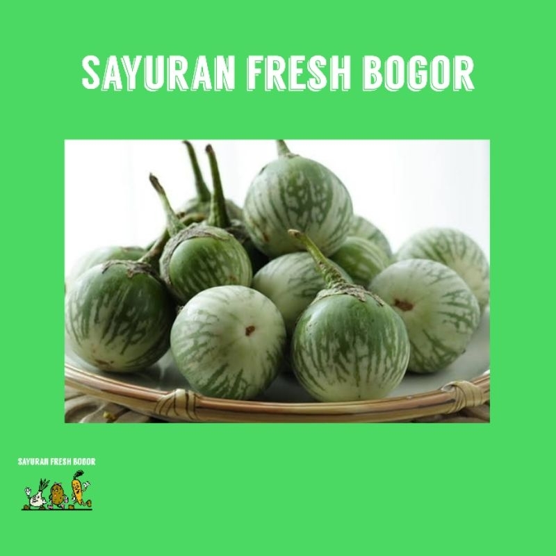 

Terong Bulat/Lalap ( 250 Gram ) | Sayuran Fresh Bogor