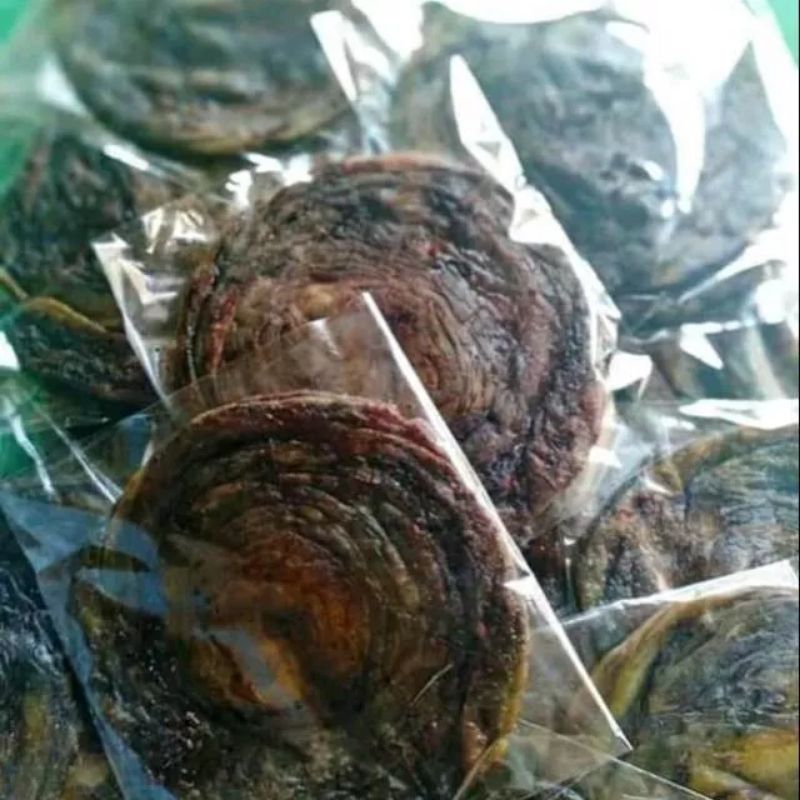 

(garansi 100%)Roti maryam coklat mini isi 5