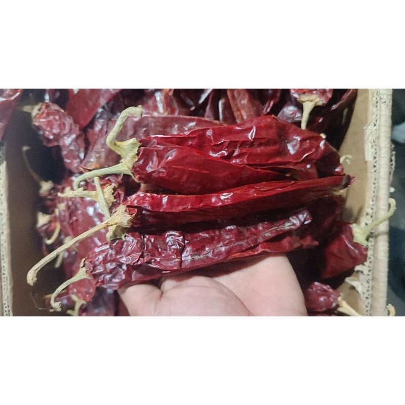 

cabe kering besar kualitas super