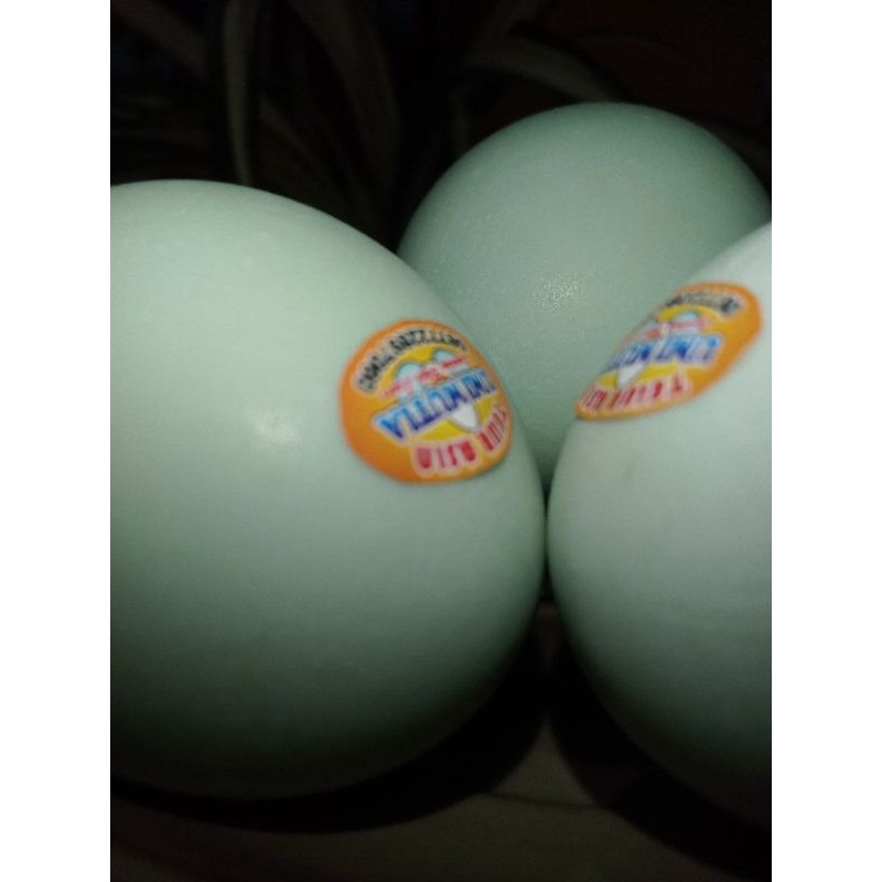 

Telur Asin masir PAKET ISI (4 Butir) Ukuran C