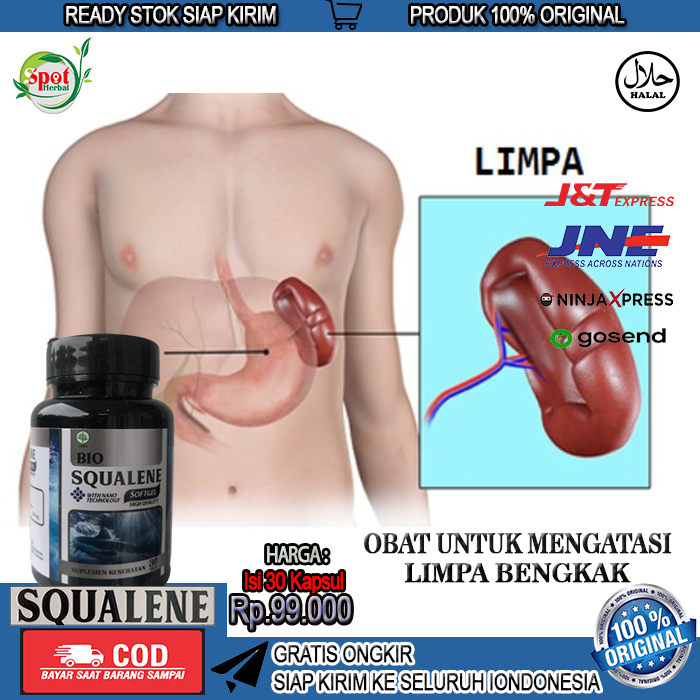 Obat Limpa Bengkak, Obat Herbal Limpa Bengkak, Pembesaran Limpa, Obat Mengecilkan Limpa Yang Bengkak