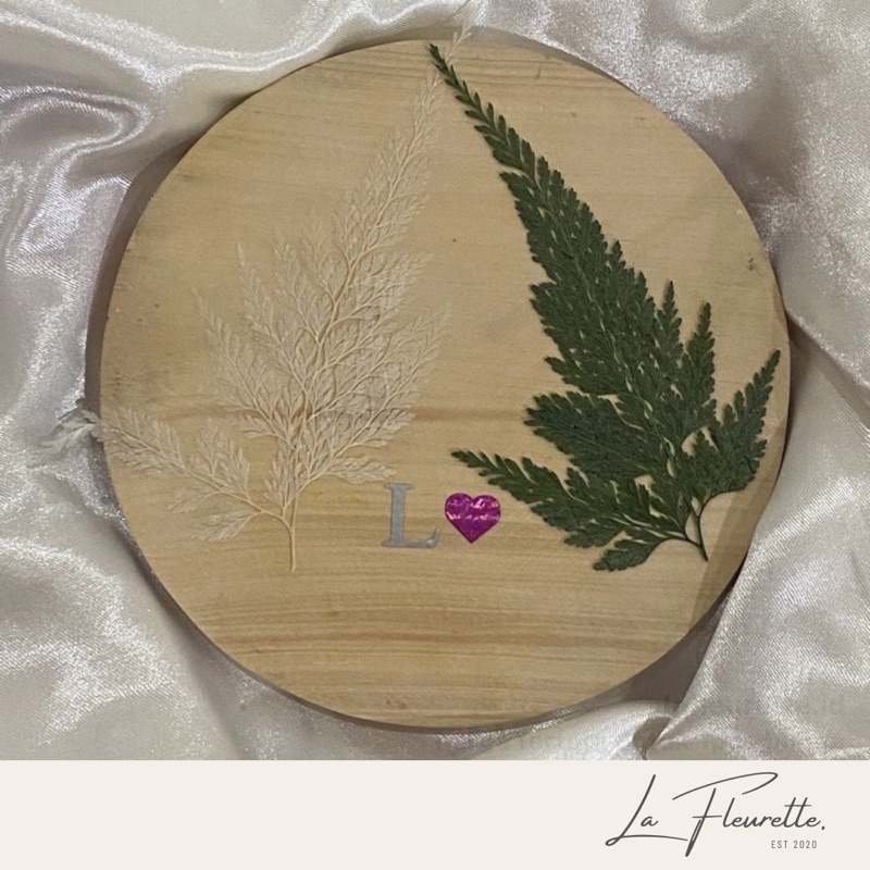 Daun Pakis Kering / Daun Pakis Asli