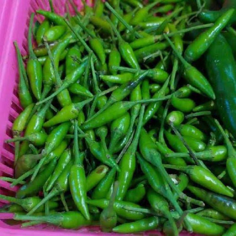 

cabe rawit hijau 1kg
