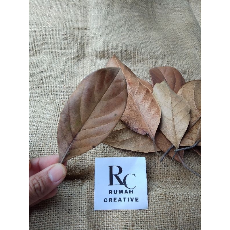 DAUN NANGKA KERING UNTUK KERAJINAN / DAUN NANGKA KERING