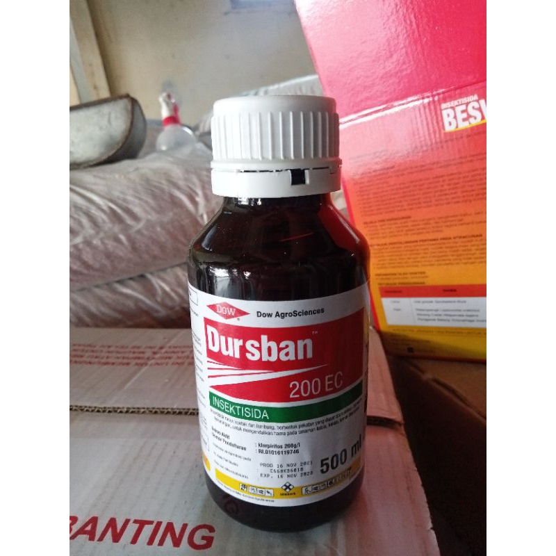 insektisida Dursban 500 Ml