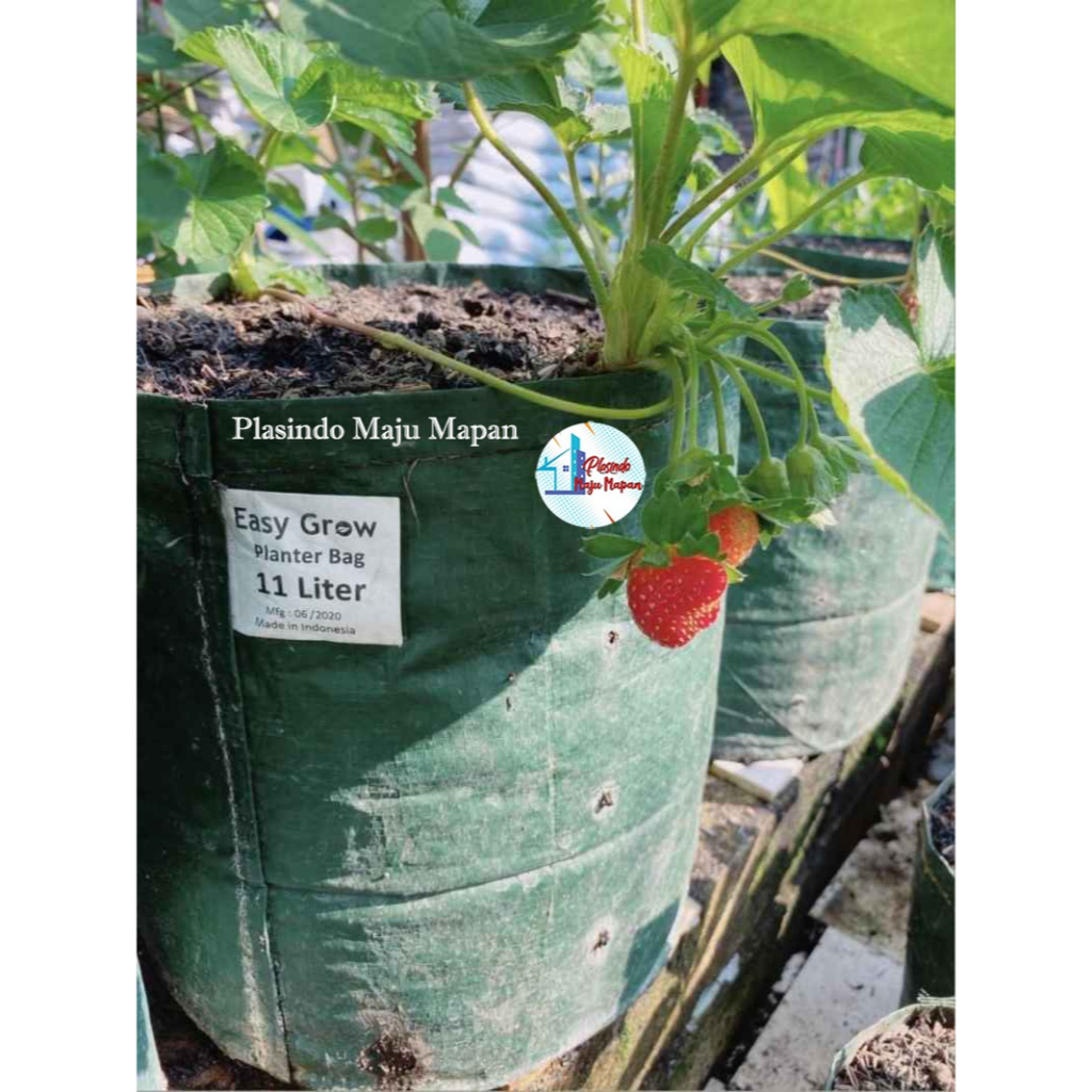 Planter Bag 11 Liter Easy Grow - Planterbag 11 liter Easy Grow