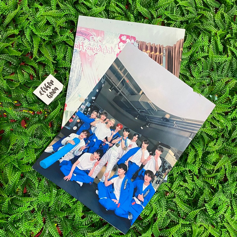 Cetak Foto Ukuran 10R Cetak Foto Ukuran Full A4  Glossy