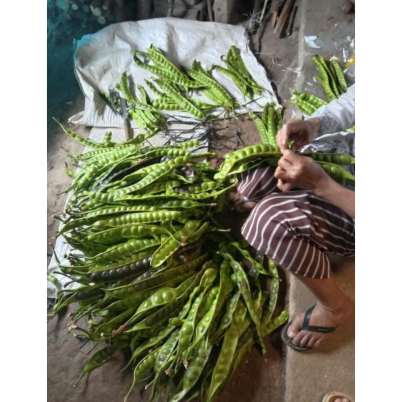 

Pete 1ikat 10pcs
