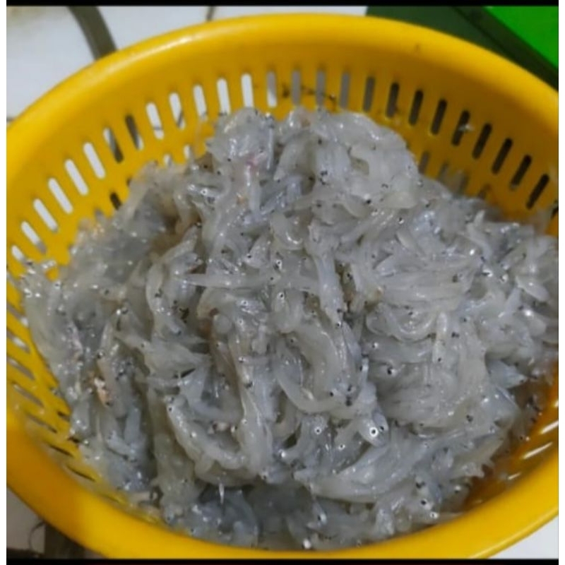 

ikan teri nasi basah fresh / MPASI anak