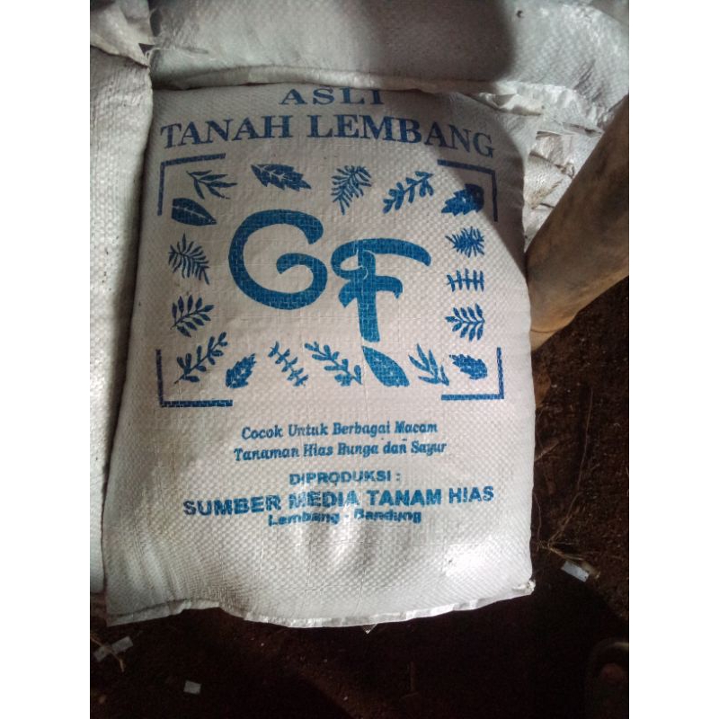 tanah Lembang asli/tanah subur