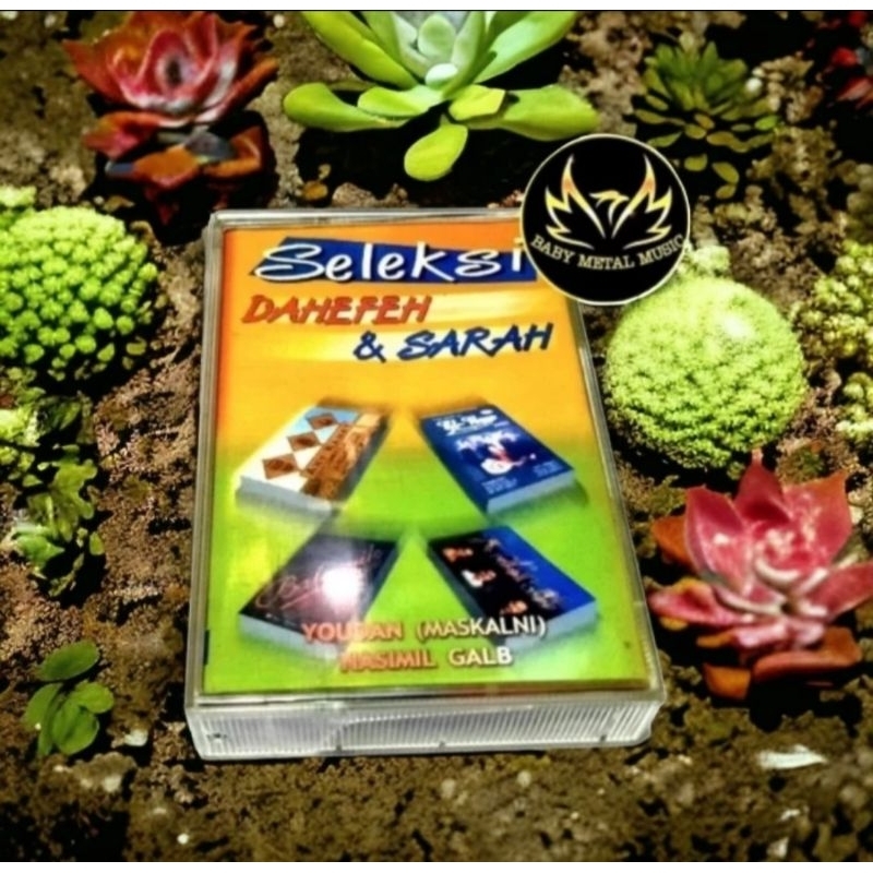 KASET PITA GAMBUS SELEKSI DAHEFEH & SARAH