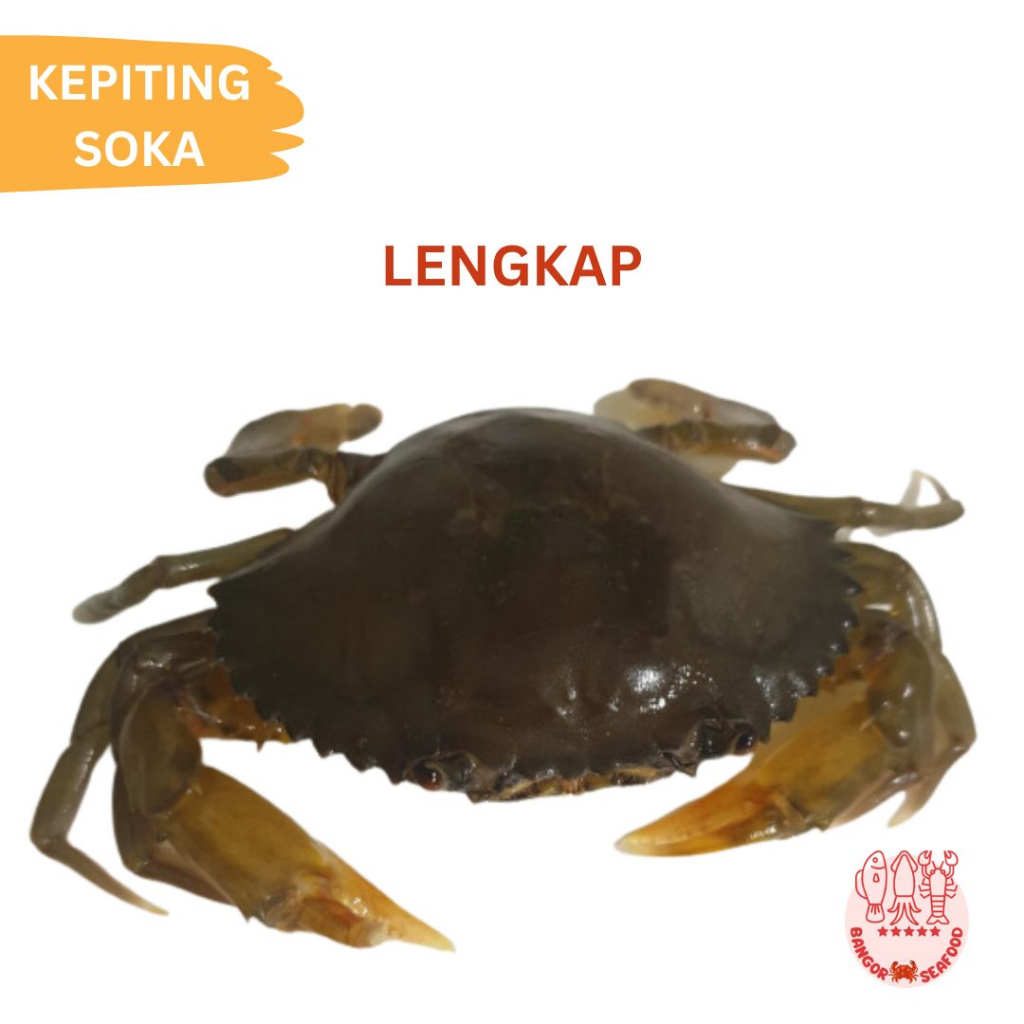 

BS - SATUAN KEPITING SOKA NON GLAZING LENGKAP KEPITING LUNAK