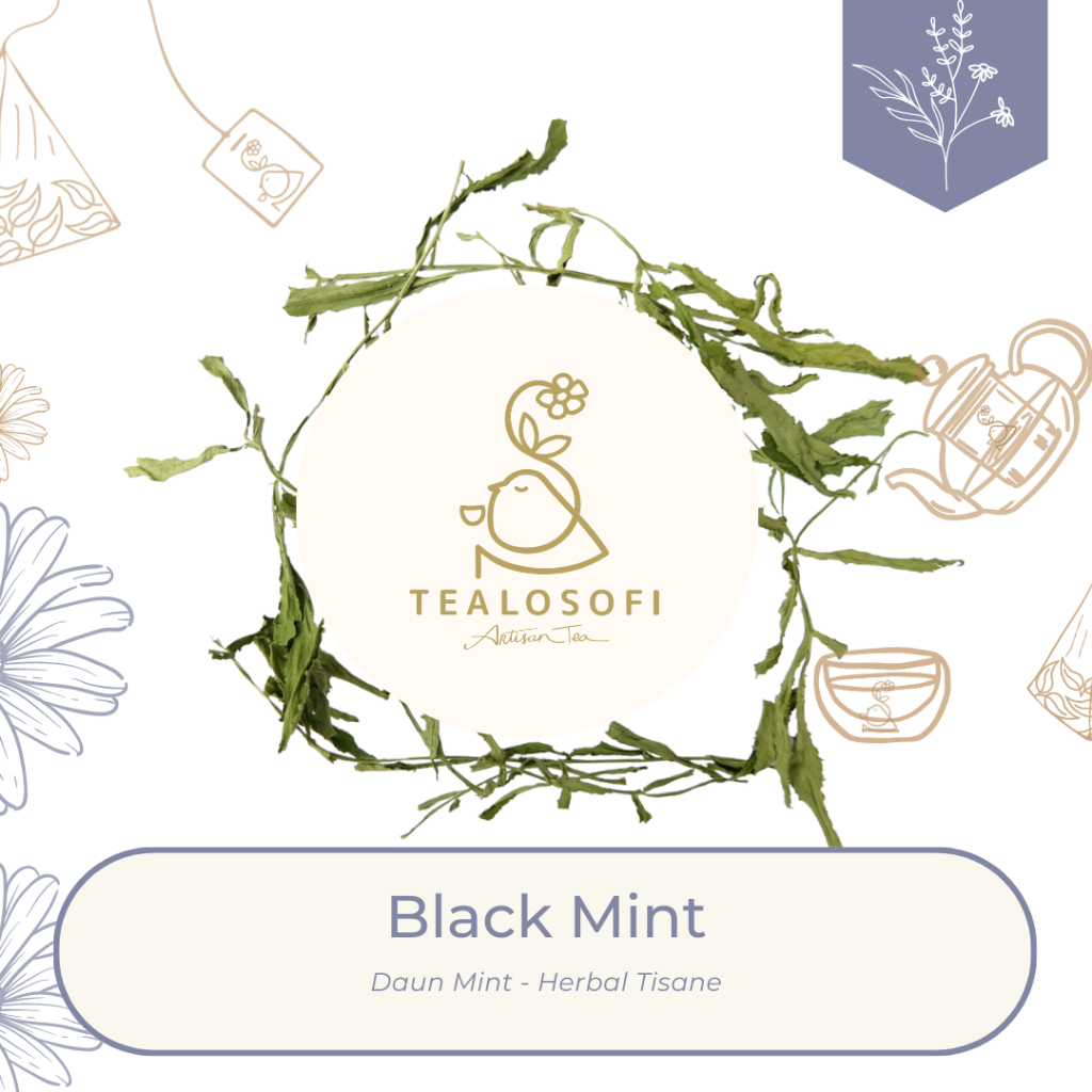 

Black Mint - Herbal Leaf Tisane Daun Menthol Teh Kering Tealosofi Tea