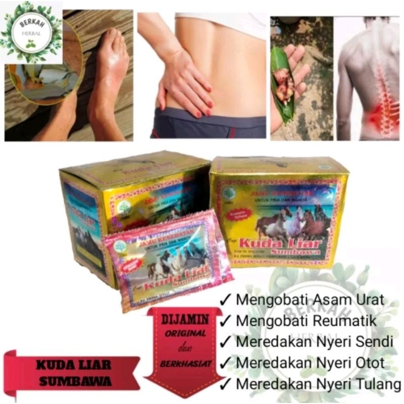 kuda liar kapsul (kotak)