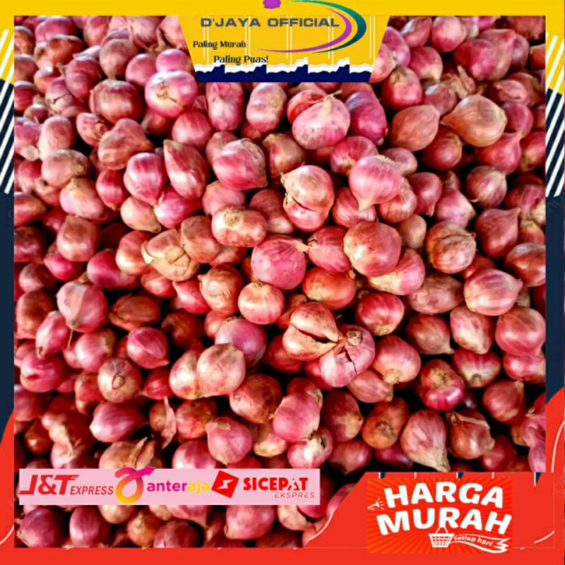 

Bawang Merah Brebes 1kg Bawang Brebes super