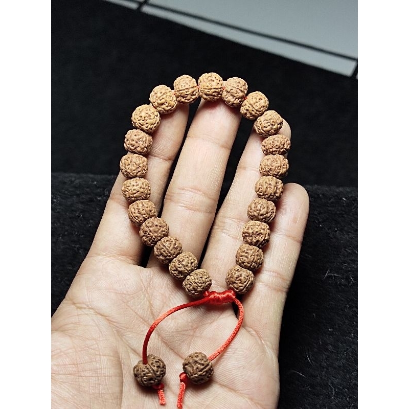 gelang rudraksha mukhi 7 size 8-11 mm
