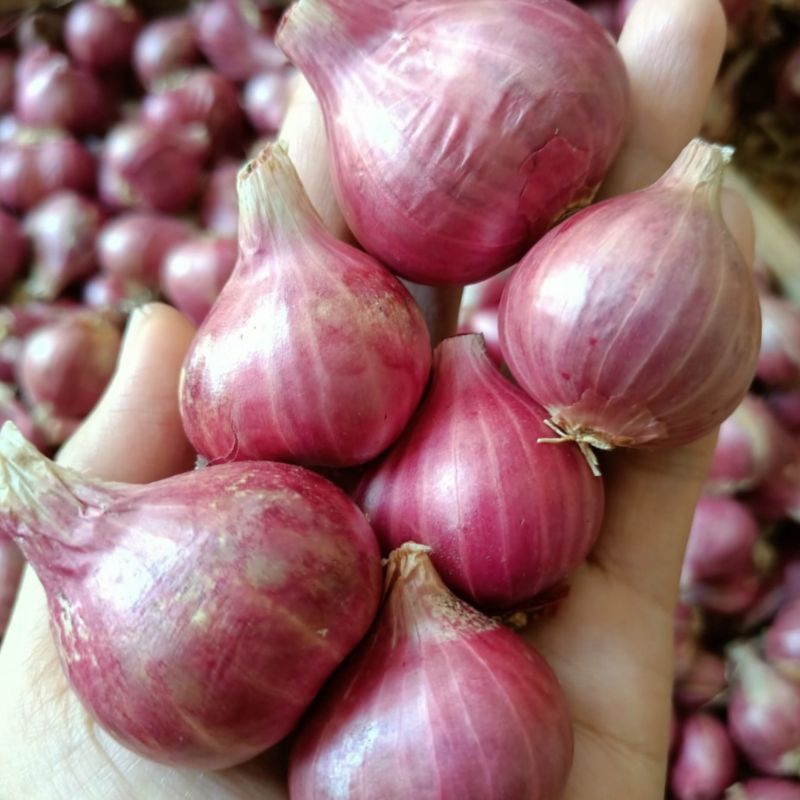 

Bawang merah probolinggo 1kg