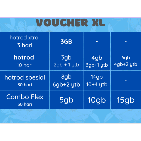 VOUCHER DATA XL
