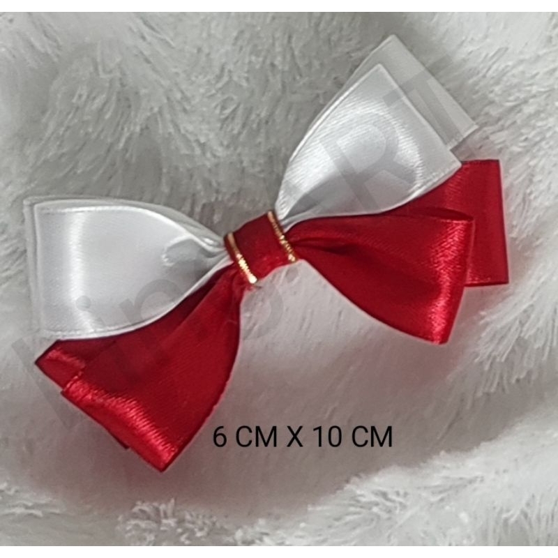 

PITA MERAH PUTIH 17 AGUSTUSAN