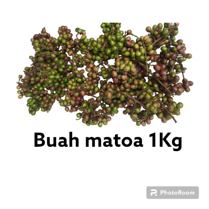 BUAH MATOA 1KG