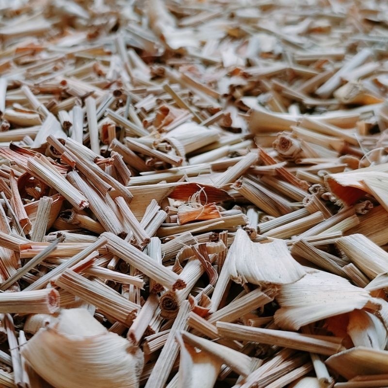 

Sereh Kering 1 kg / Sereh Kering 1kg / Sereh Dapur Kering 1kg