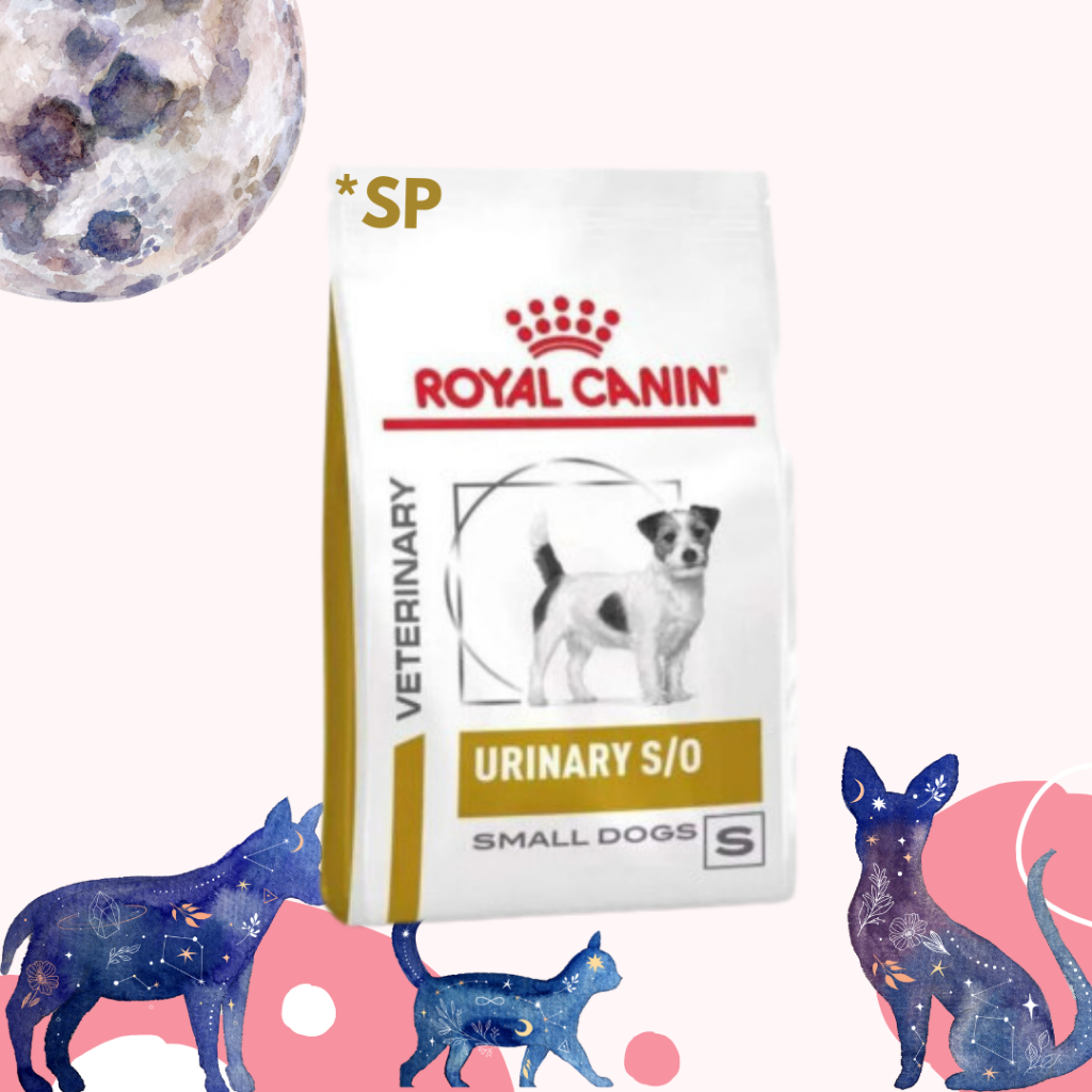 

23bagusmenshop - Royal Canin Urinary S/O Small Dog SP1 Makanan Khusus Anjing Masalah Urinary