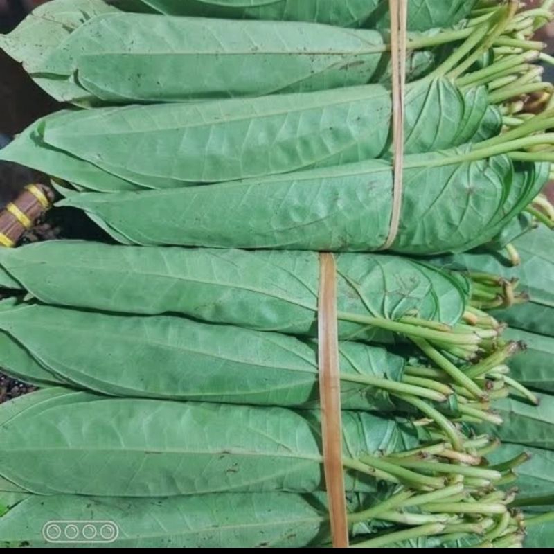 

Daun Sirih Segar Biasa 1 Ikat