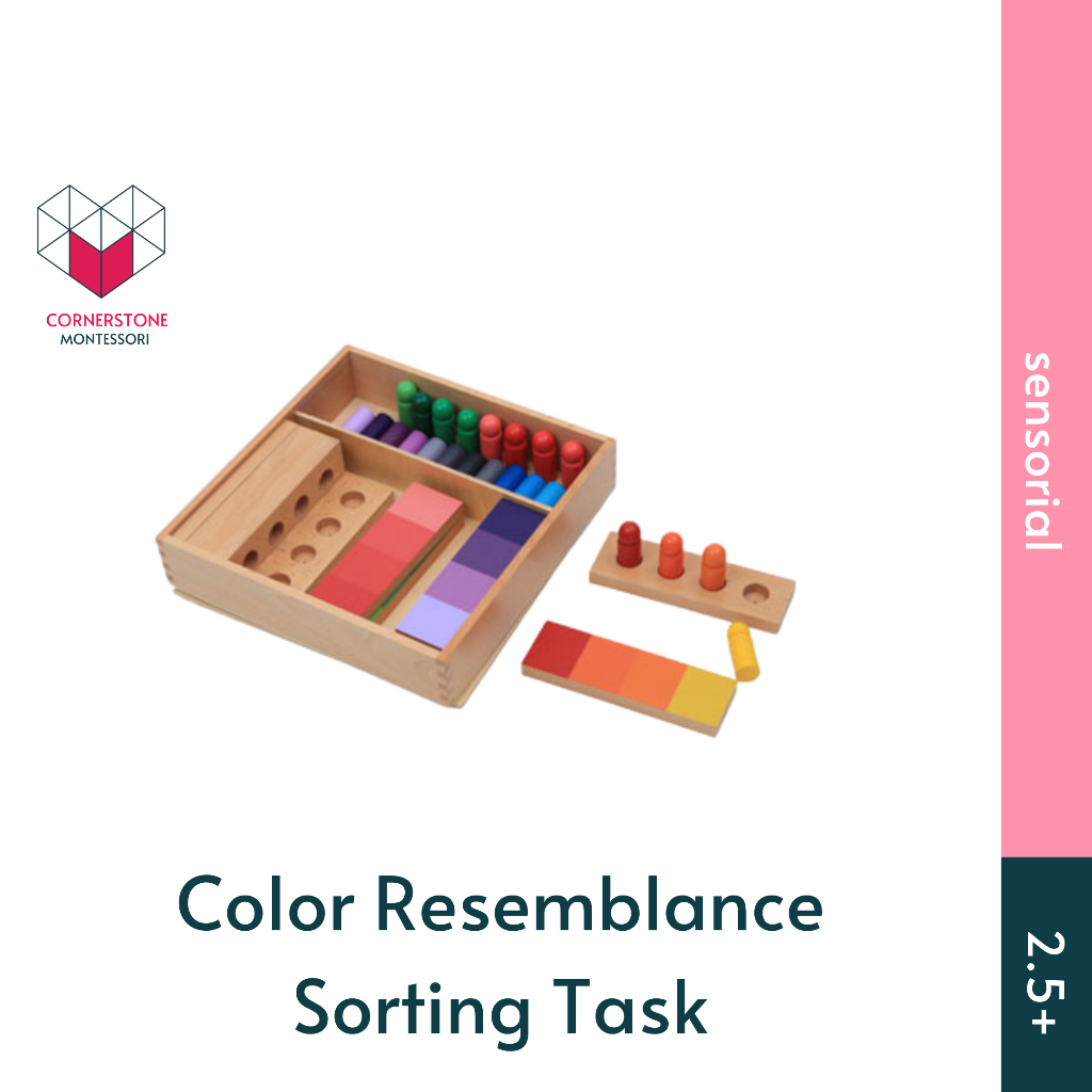 Cornerstone Montessori Color Sorting Task - Montessori Sensorial Visual - Cocokkan Warna Edukasi